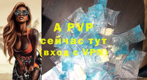 стаф Анжеро-Судженск