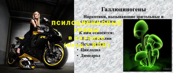 тгк Апатиты