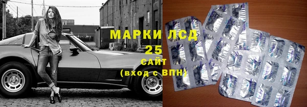 a pvp Аркадак