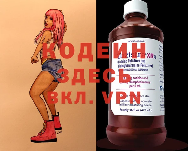 apvp Арсеньев